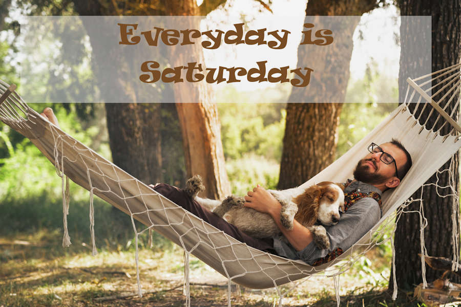 Man relaxing in hammock with dog